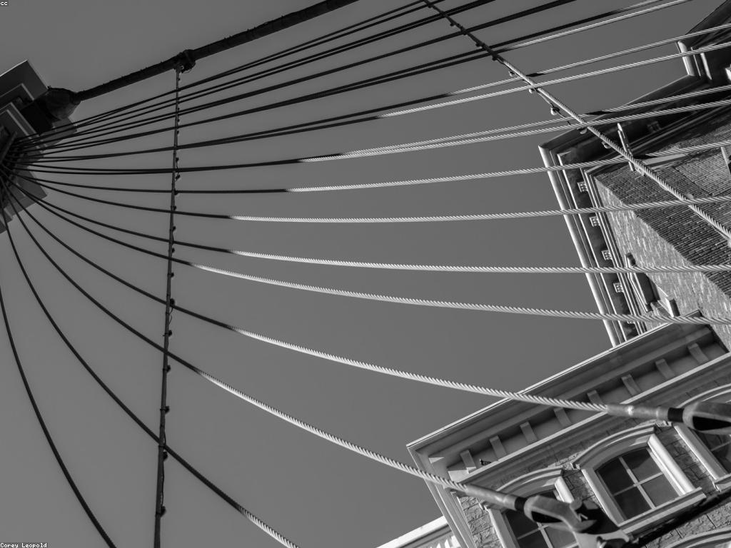 ការកែលម្អទំនាក់ទំនងកាស៊ីណូ