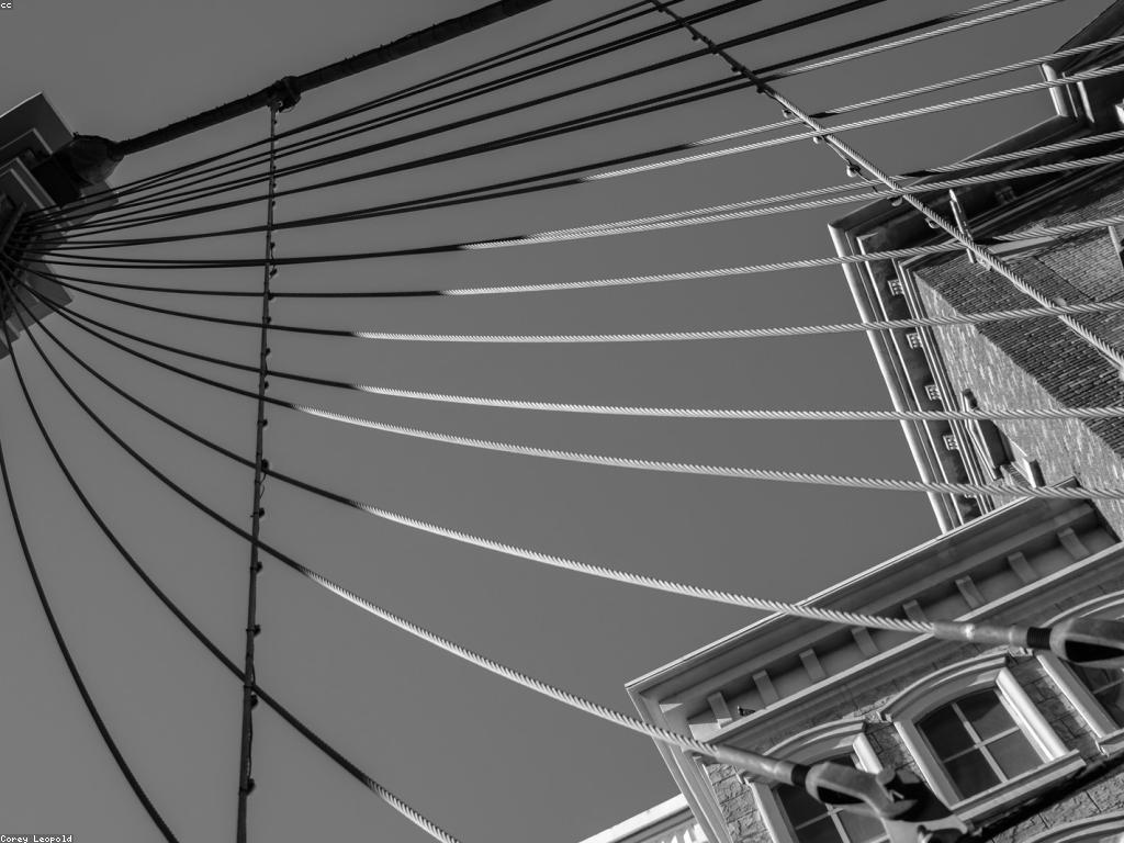 ភាពឥទ្ធិពលនៃទំនាក់ទំនងកាស៊ីណូ