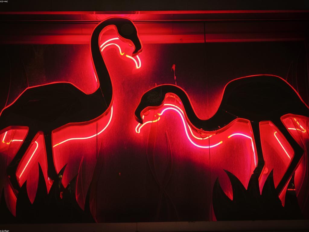 និន្នាការថ្មីៗក្នុងព័ត៌មានកាស៊ីណូ